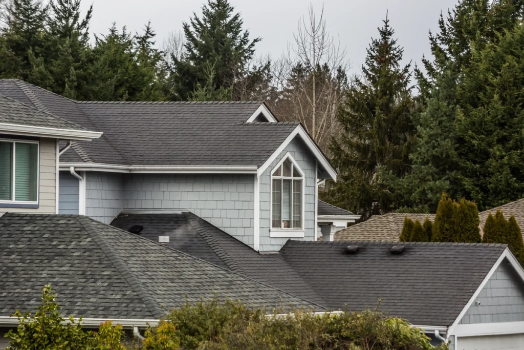 composite shingles-house surrounded by trees