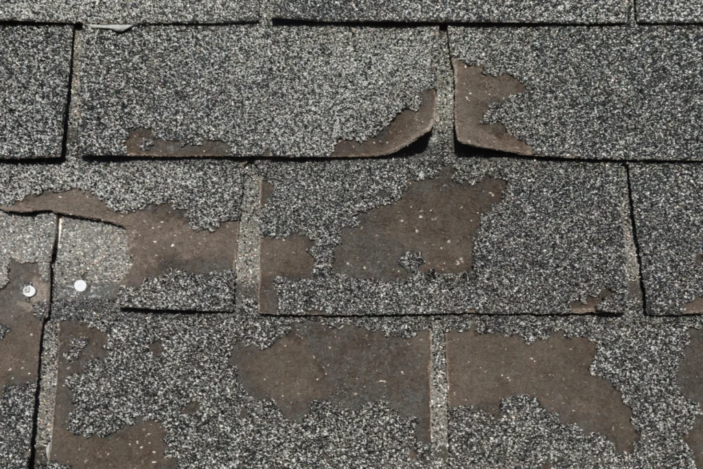 granule loss-severe granule loss on shingles