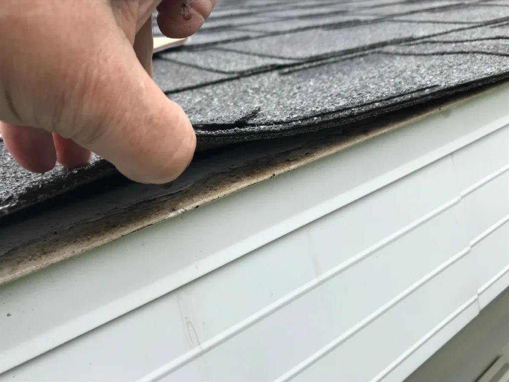roof inspection-inspector lifting shingles