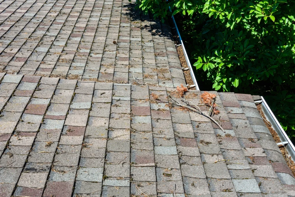 roof maintenance-clean debris off of roof