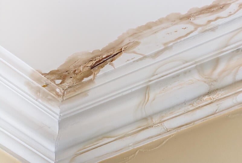 how to find a roof leak-ceiling leaks with stains and cracks