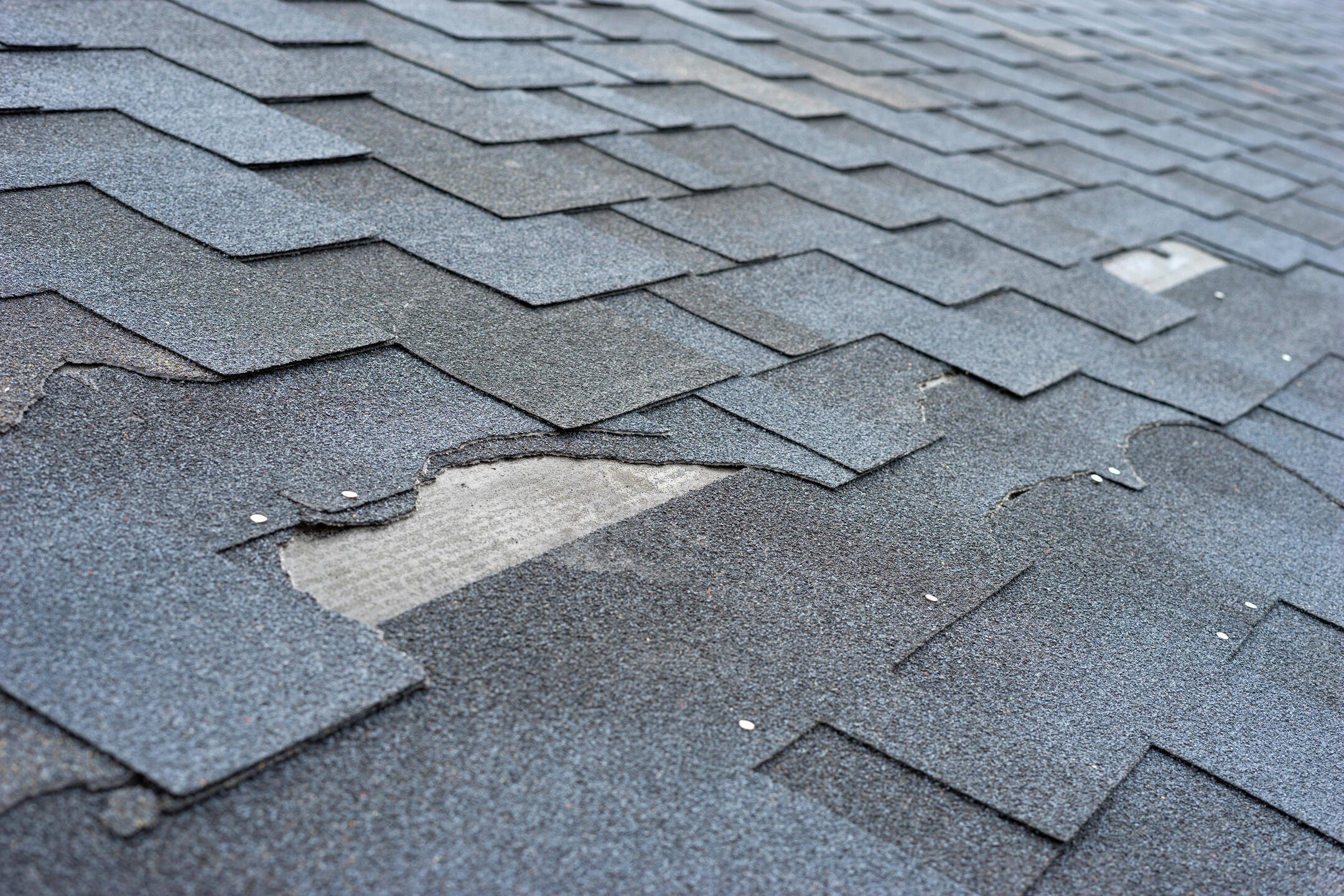 asphalt roof repair-close up of damaged roof shingles