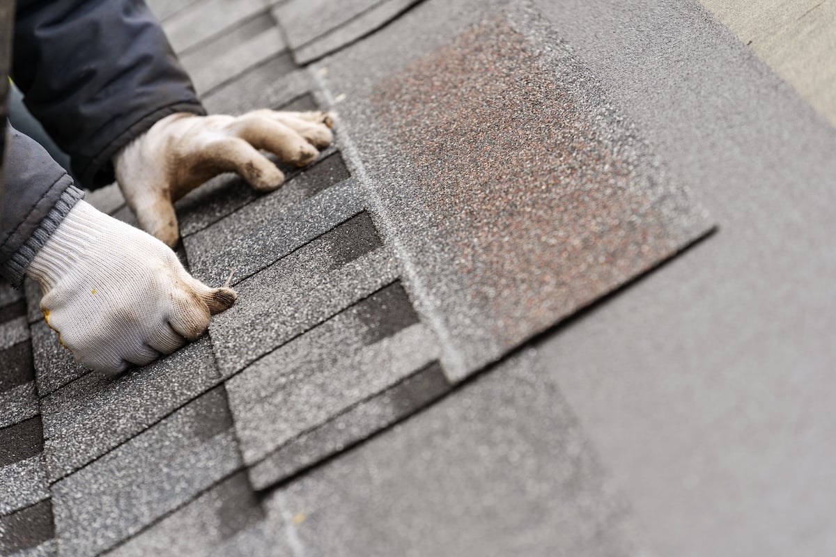 Installation of roof shingles