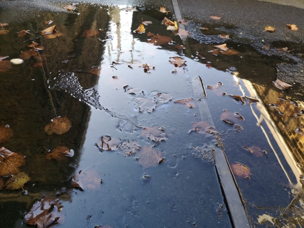 Pooling water on flat roof with leaves